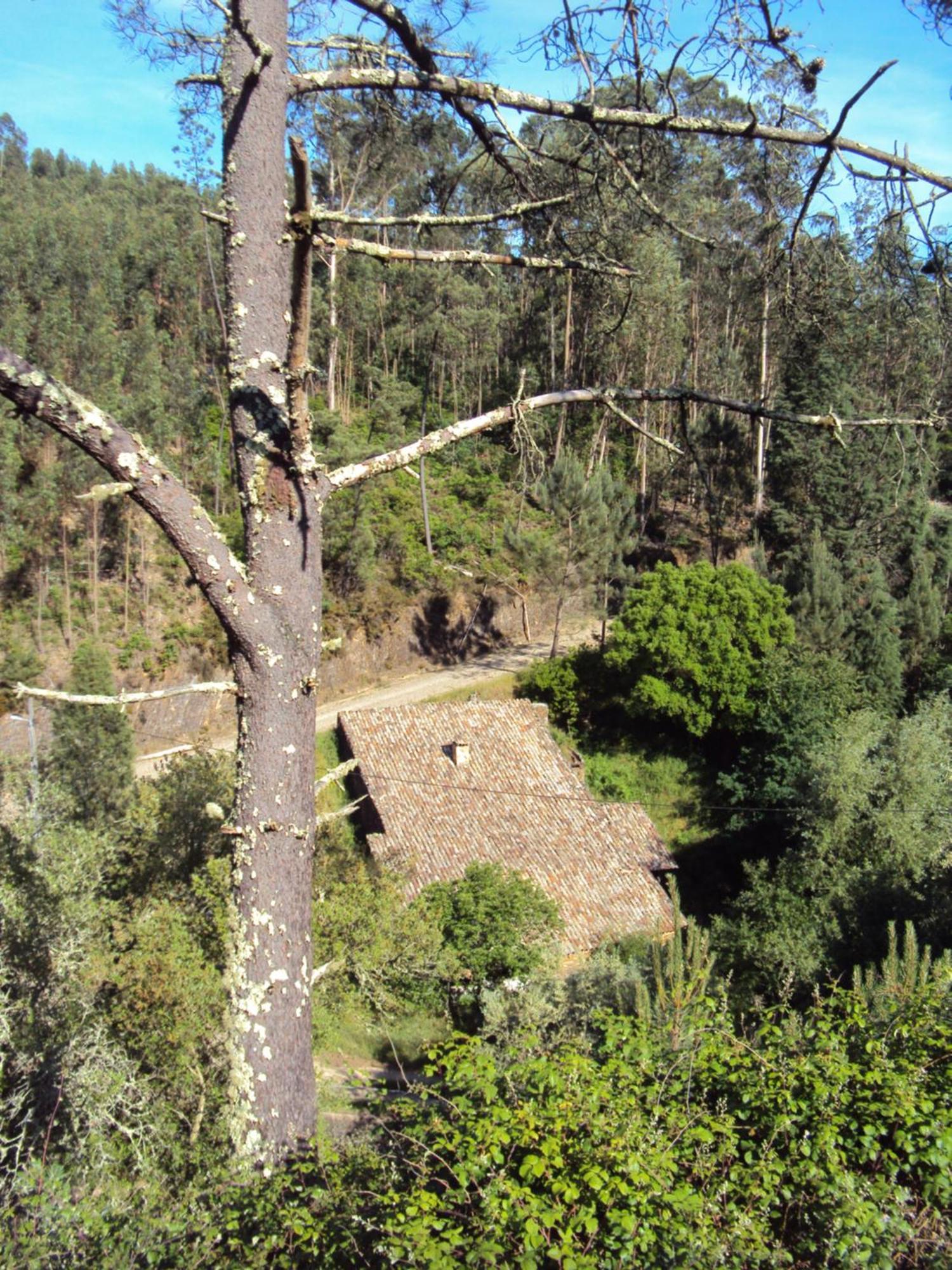 Parque Tematico Vale De Mouro Villa Exterior foto